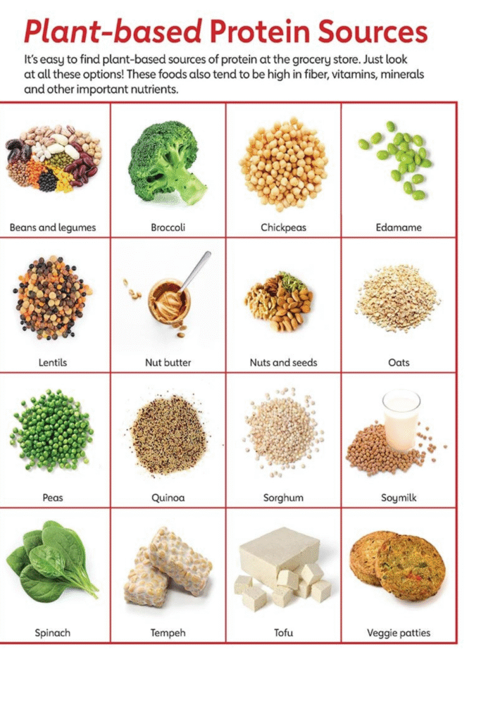 high protein foods list